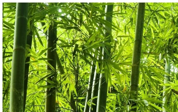 Современные тенденции в дизайне одежды из экоматериалов