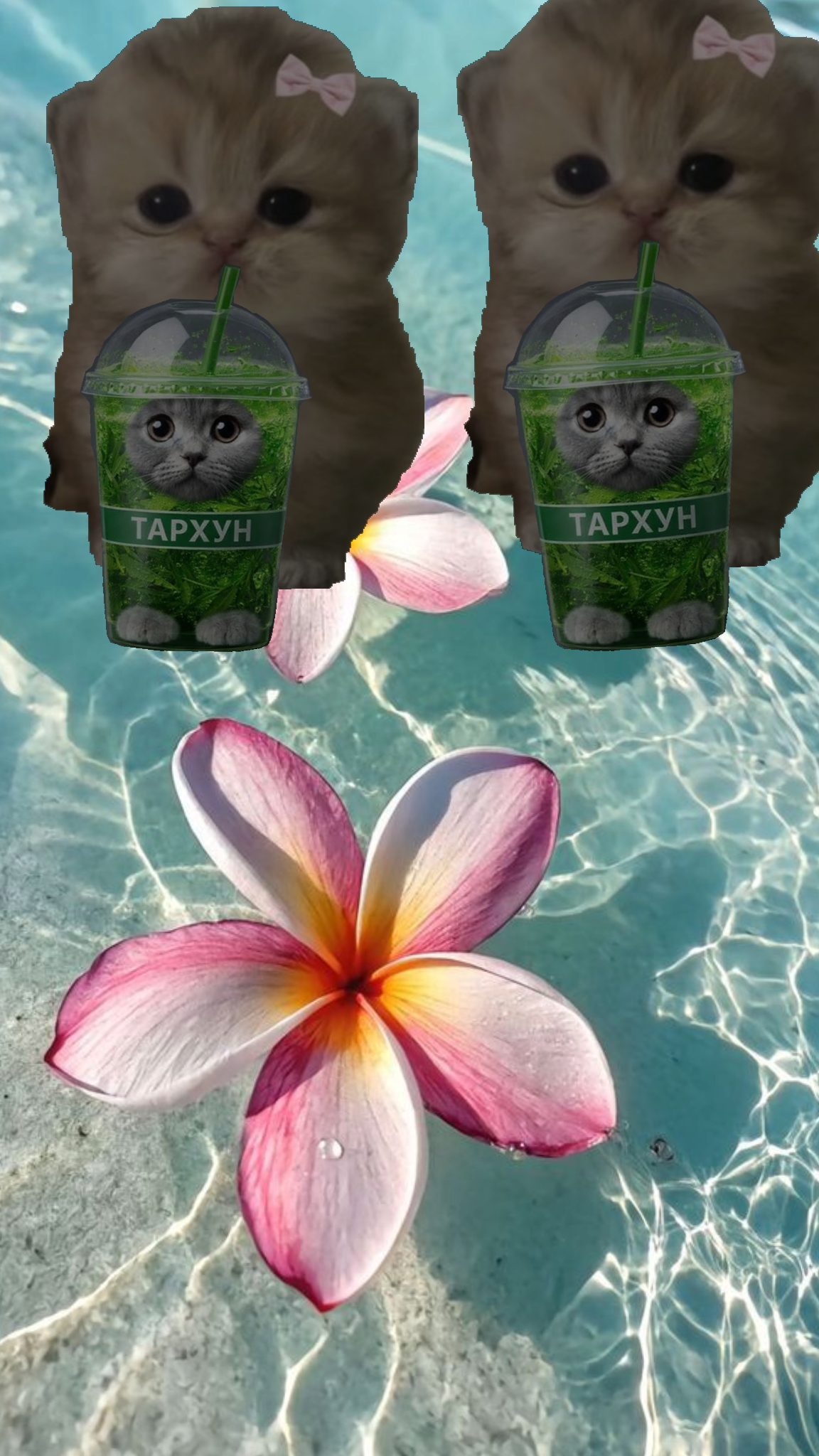 учим монтажу